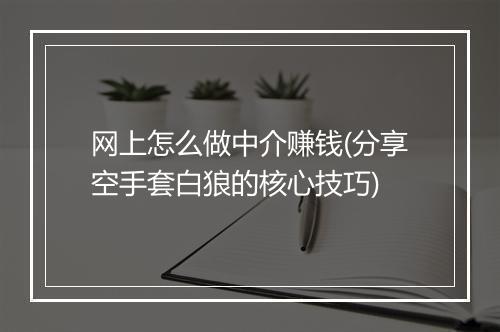 网上怎么做中介赚钱(分享空手套白狼的核心技巧)