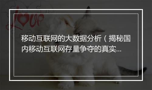 移动互联网的大数据分析（揭秘国内移动互联网存量争夺的真实状况）