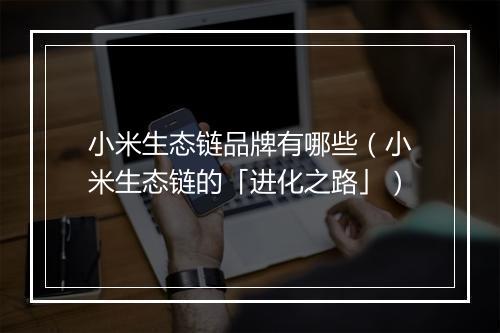 小米生态链品牌有哪些（小米生态链的「进化之路」）