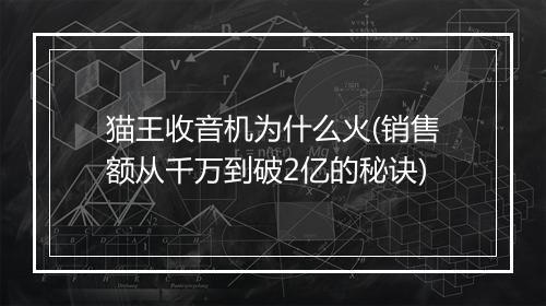 猫王收音机为什么火(销售额从千万到破2亿的秘诀)