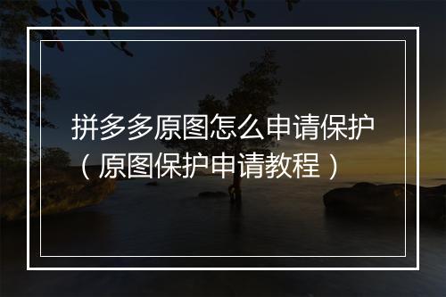 拼多多原图怎么申请保护（原图保护申请教程）