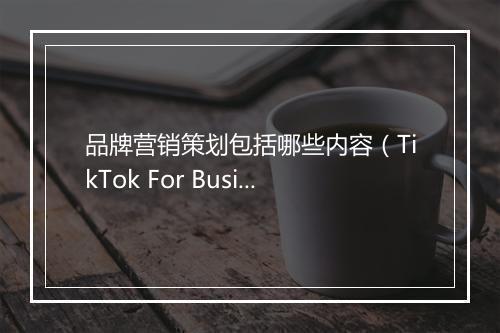 品牌营销策划包括哪些内容（TikTok For Business品牌营销你了解多少）