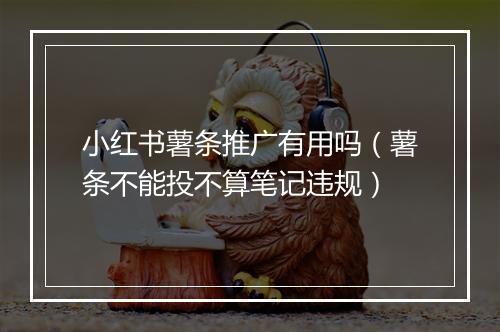 小红书薯条推广有用吗（薯条不能投不算笔记违规）