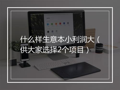 什么样生意本小利润大（供大家选择2个项目）