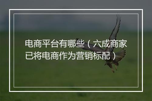 电商平台有哪些（六成商家已将电商作为营销标配）