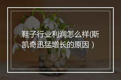 鞋子行业利润怎么样(斯凯奇迅猛增长的原因）
