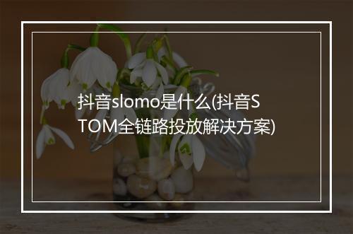 抖音slomo是什么(抖音STOM全链路投放解决方案)