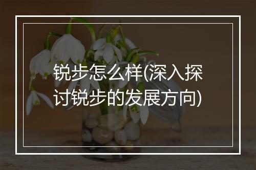 锐步怎么样(深入探讨锐步的发展方向)