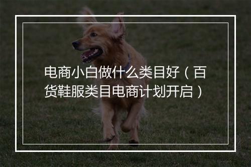 电商小白做什么类目好（百货鞋服类目电商计划开启）