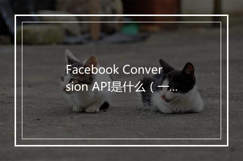 Facebook Conversion API是什么（一篇文章带你了解）