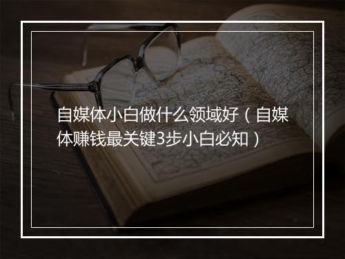 自媒体小白做什么领域好（自媒体赚钱最关键3步小白必知）