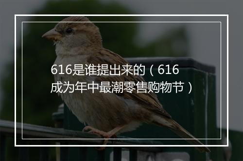 616是谁提出来的（616成为年中最潮零售购物节）