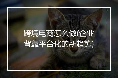 跨境电商怎么做(企业背靠平台化的新趋势)