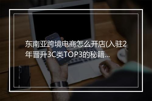 东南亚跨境电商怎么开店(入驻2年晋升3C类TOP3的秘籍）