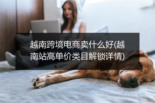 越南跨境电商卖什么好(越南站高单价类目解锁详情)