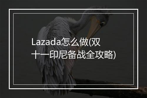 Lazada怎么做(双十一印尼备战全攻略)