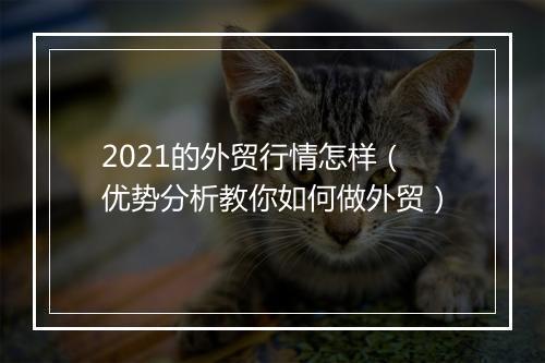 2021的外贸行情怎样（优势分析教你如何做外贸）