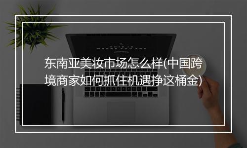 东南亚美妆市场怎么样(中国跨境商家如何抓住机遇挣这桶金)