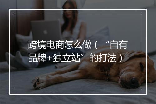 跨境电商怎么做（“自有品牌+独立站”的打法）
