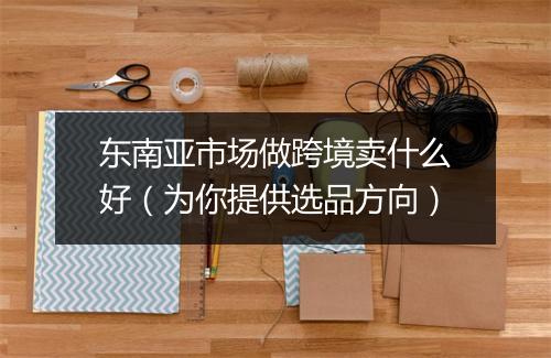 东南亚市场做跨境卖什么好（为你提供选品方向）