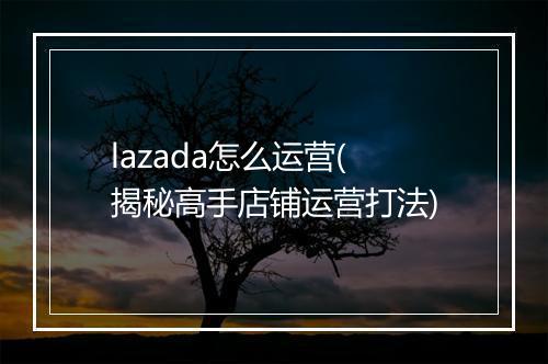 lazada怎么运营(揭秘高手店铺运营打法)