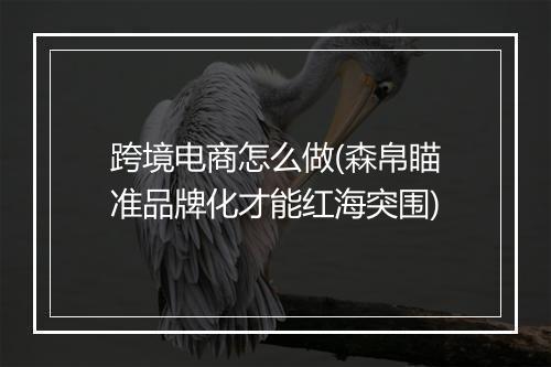 跨境电商怎么做(森帛瞄准品牌化才能红海突围)