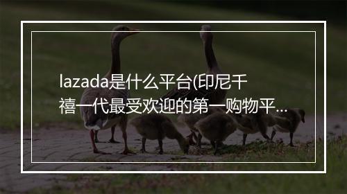 lazada是什么平台(印尼千禧一代最受欢迎的第一购物平台)