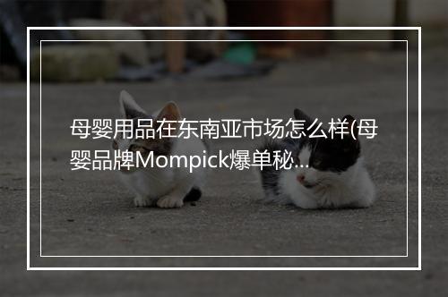 母婴用品在东南亚市场怎么样(母婴品牌Mompick爆单秘籍)