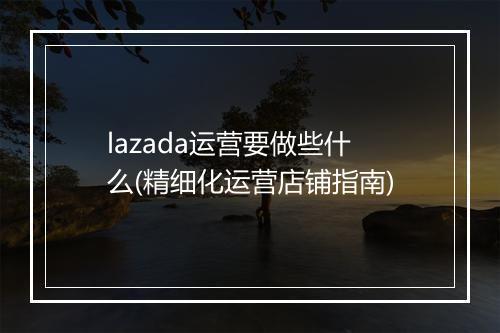 lazada运营要做些什么(精细化运营店铺指南)
