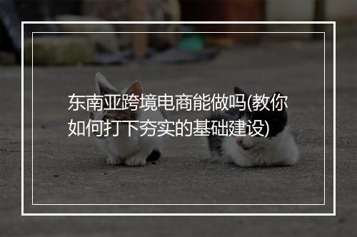 东南亚跨境电商能做吗(教你如何打下夯实的基础建设)