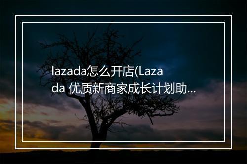 lazada怎么开店(Lazada 优质新商家成长计划助你成交一个亿）