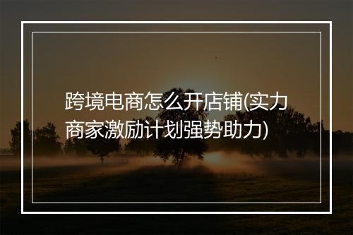 跨境电商怎么开店铺(实力商家激励计划强势助力)
