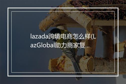 lazada跨境电商怎么样(LazGlobal助力商家复苏消费回暖)