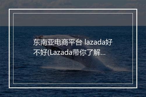 东南亚电商平台 lazada好不好(Lazada带你了解真实的东南亚市场)