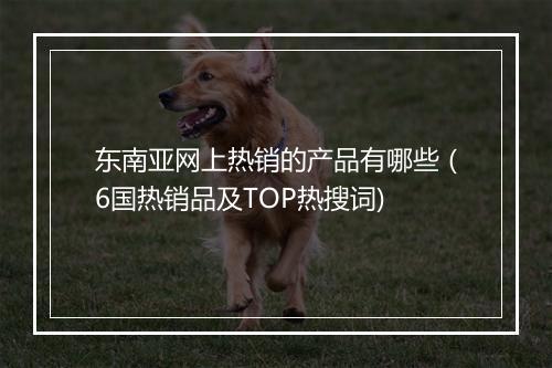 东南亚网上热销的产品有哪些（6国热销品及TOP热搜词)