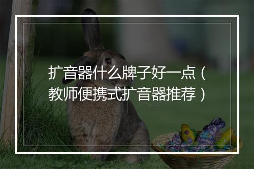 扩音器什么牌子好一点（教师便携式扩音器推荐）
