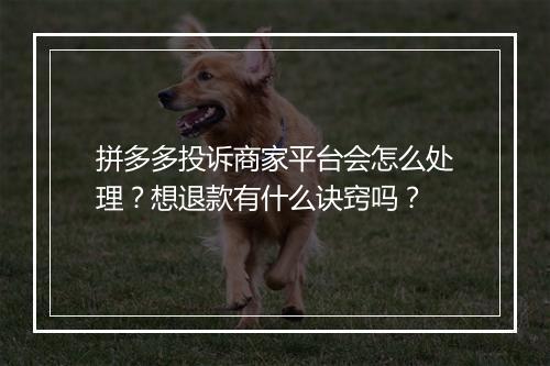 拼多多投诉商家平台会怎么处理？想退款有什么诀窍吗？