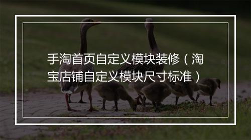 手淘首页自定义模块装修（淘宝店铺自定义模块尺寸标准）