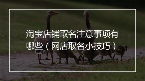 淘宝店铺取名注意事项有哪些（网店取名小技巧）