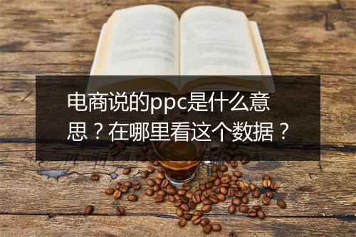 电商说的ppc是什么意思？在哪里看这个数据？