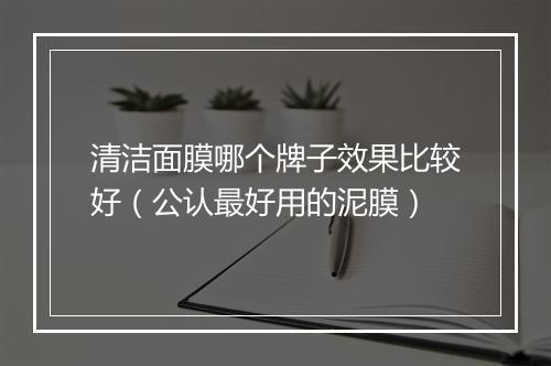 清洁面膜哪个牌子效果比较好（公认最好用的泥膜）