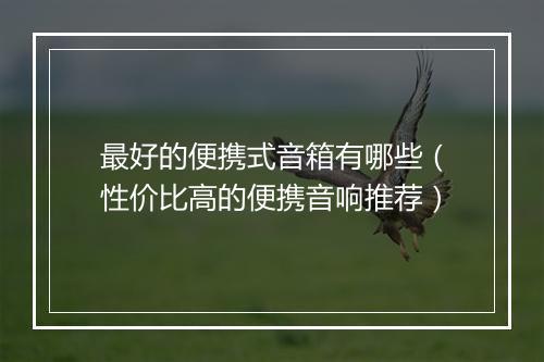 最好的便携式音箱有哪些（性价比高的便携音响推荐）