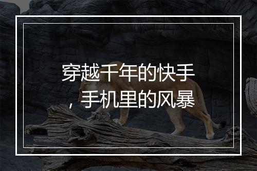 穿越千年的快手，手机里的风暴
