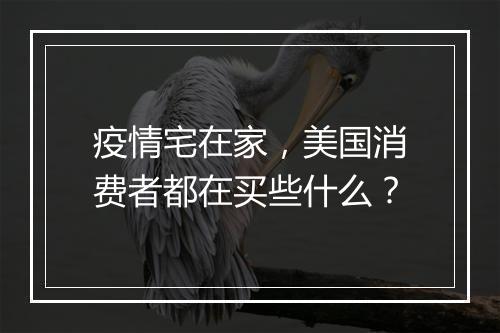 疫情宅在家，美国消费者都在买些什么？