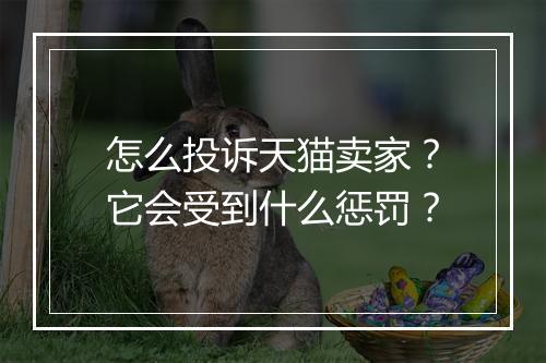 怎么投诉天猫卖家？它会受到什么惩罚？