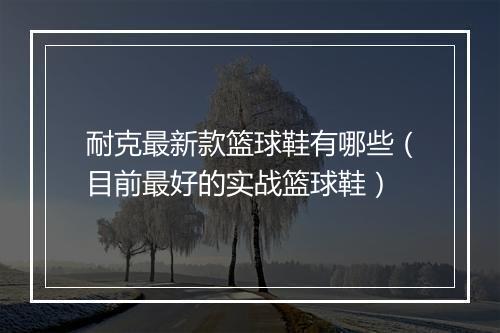 耐克最新款篮球鞋有哪些（目前最好的实战篮球鞋）