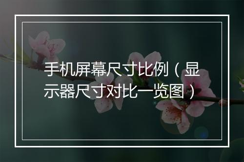 手机屏幕尺寸比例（显示器尺寸对比一览图）