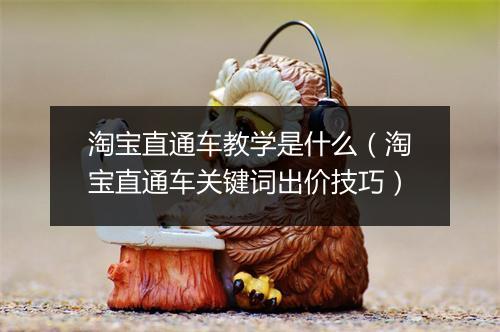 淘宝直通车教学是什么（淘宝直通车关键词出价技巧）