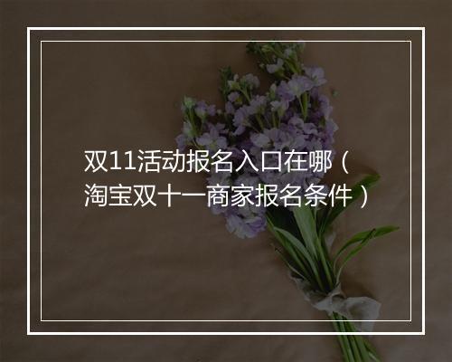 双11活动报名入口在哪（淘宝双十一商家报名条件）