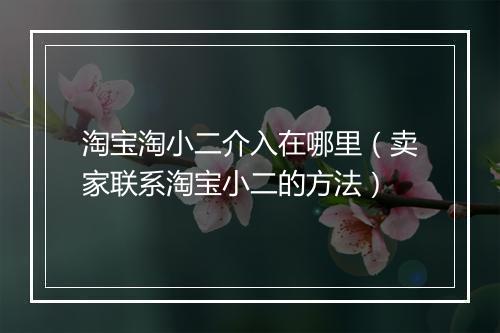 淘宝淘小二介入在哪里（卖家联系淘宝小二的方法）